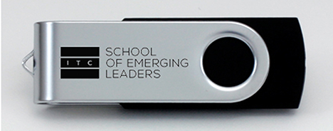 School of Emerging Leaders USB